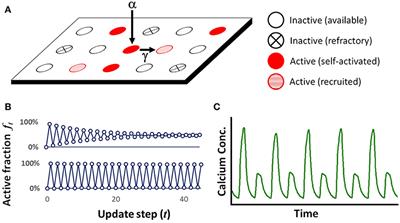 Improved Prediction of Periodicity Using Quartet Approximation in a Lattice Model of Intracellular Calcium Release